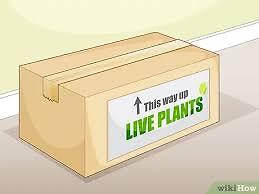 Special Packing For Live Plants