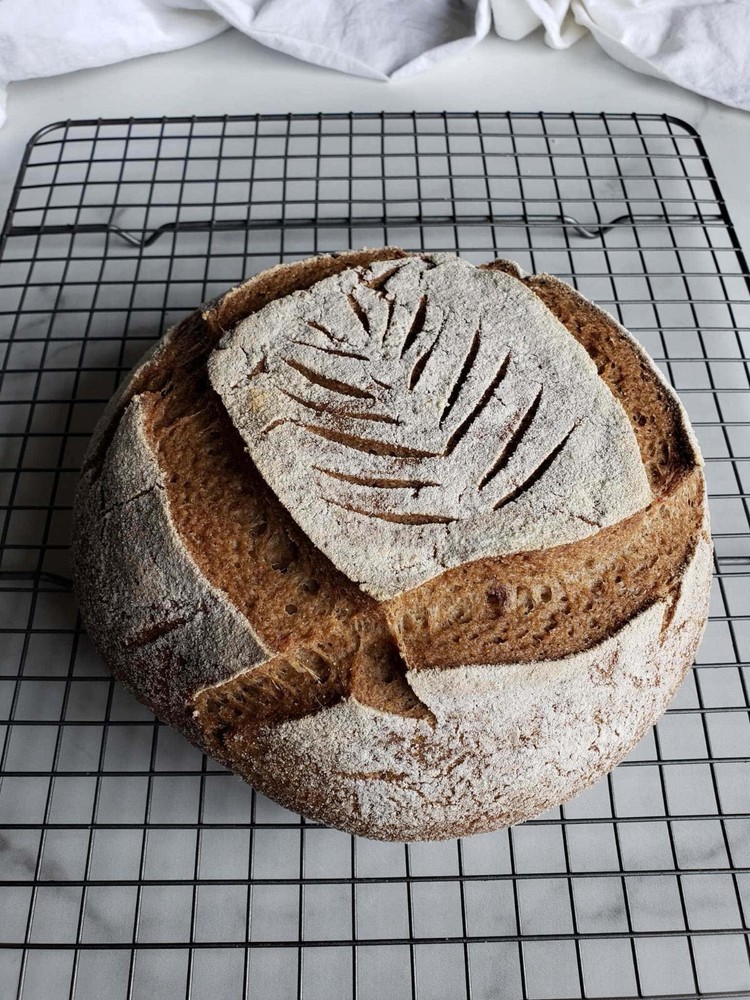 SOURDOUGH STARTER DEHYDRATED ORGANIC ACTIVE ALASKAN - 15 Gram Bag
