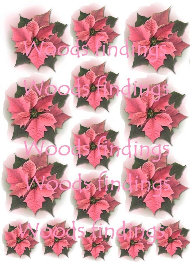 Pink Poinsettia Waterslide Decals