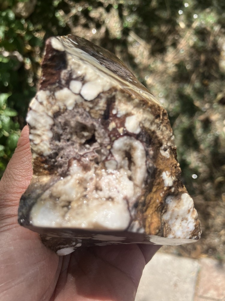 Wild Horse Specimen (Rough)