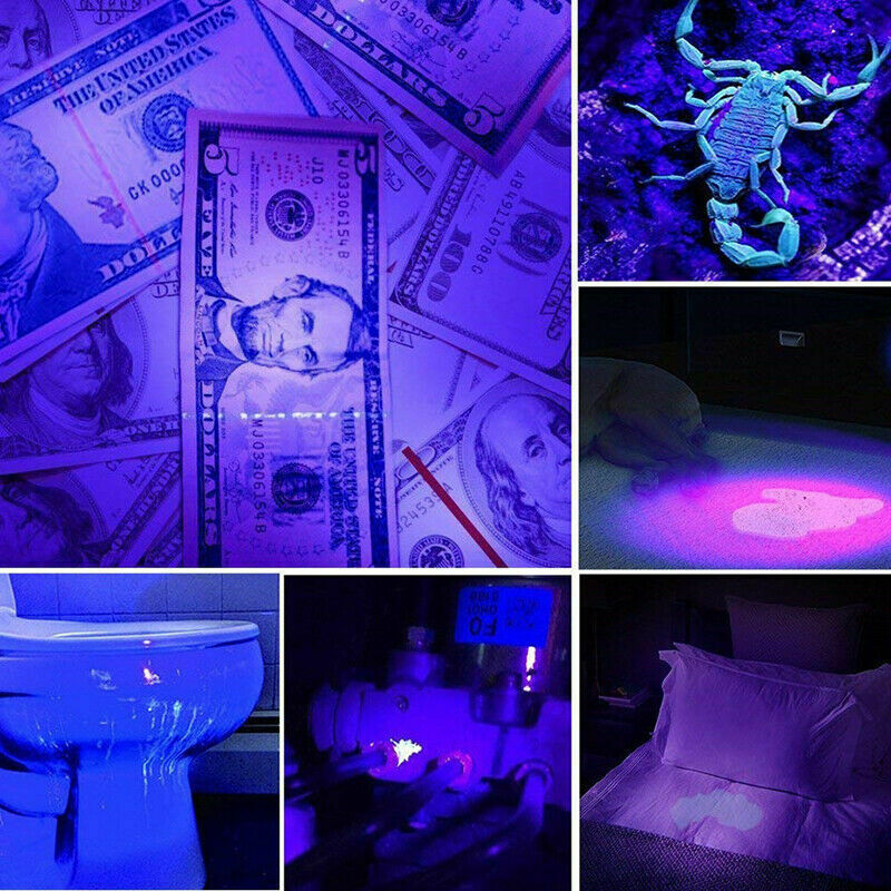 Black Light UV Flashlight - 395nm - Detects Stains & Urine - Zoomable Feature