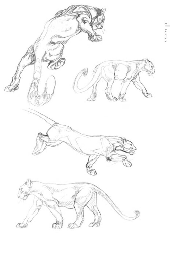 Claire Wendling - Iguana Bay 2.0