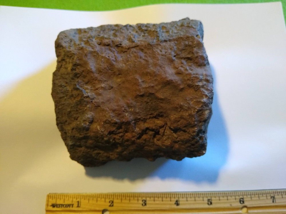 Jasper Replacement Petrified Wood- Over 3-1/4 lbs.