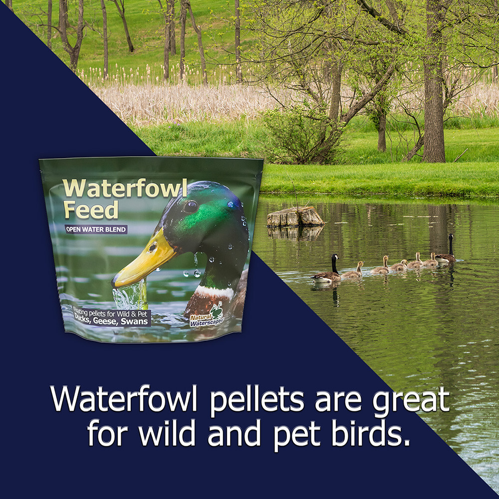 Waterfowl Floating Pellets 20 lb