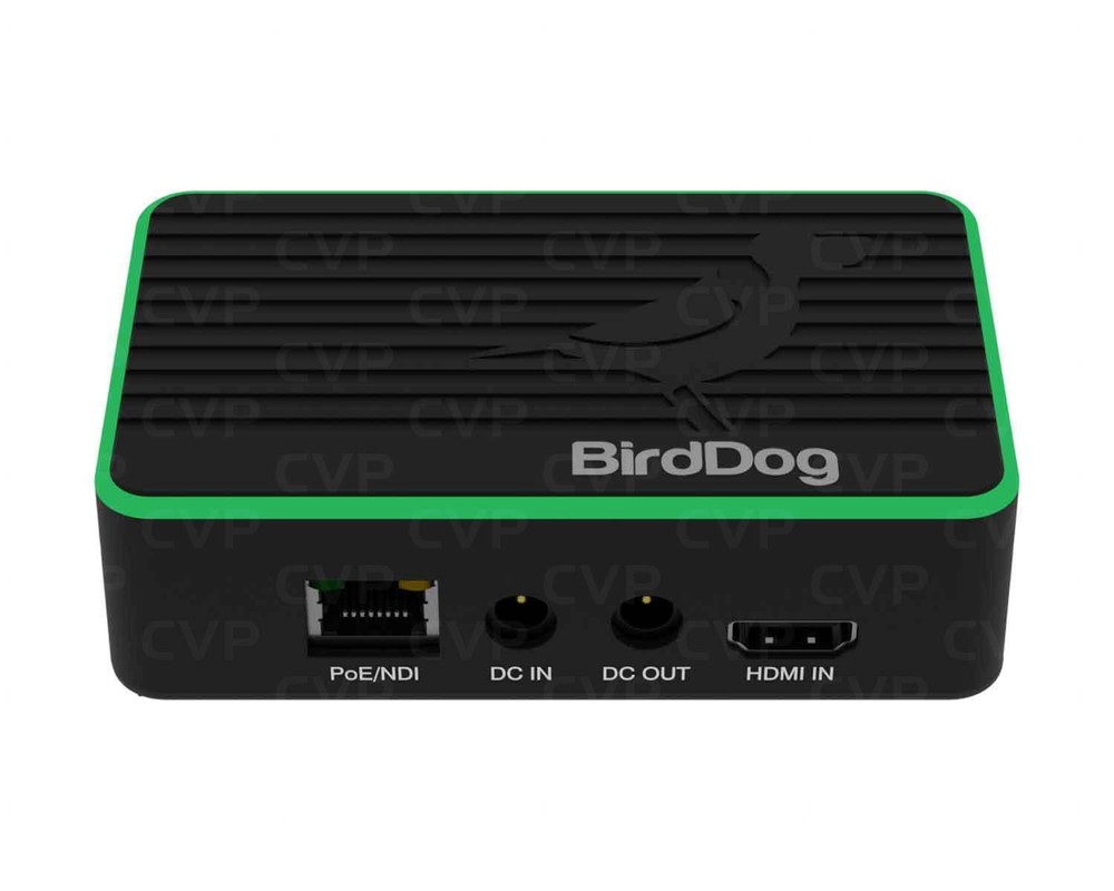 BirdDog BDFLEXBP 4K Full NDI Encoder