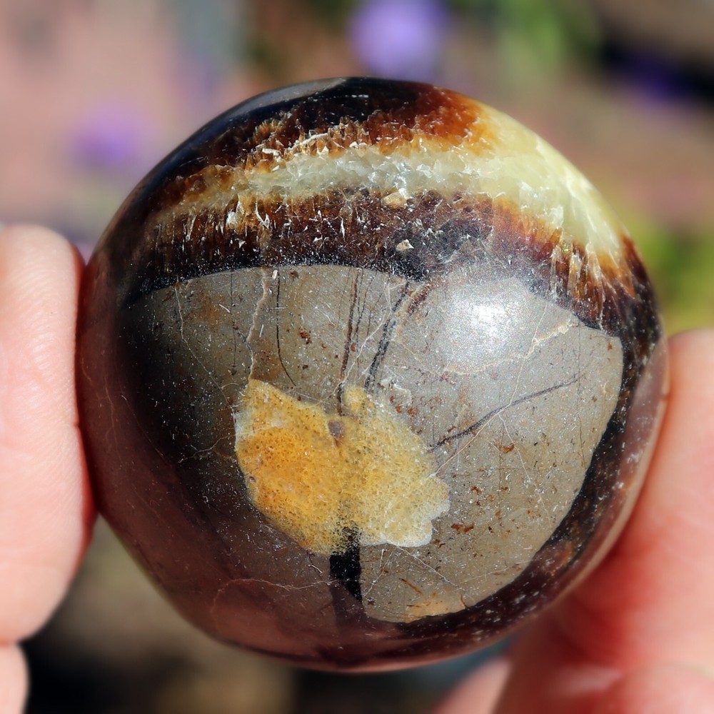 Polished Septarian Nodule (SEP21)