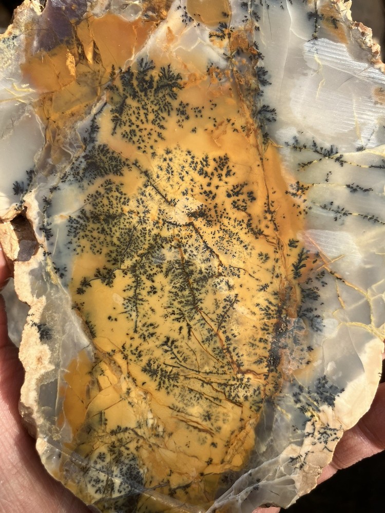 Dendritic Jasper Slab