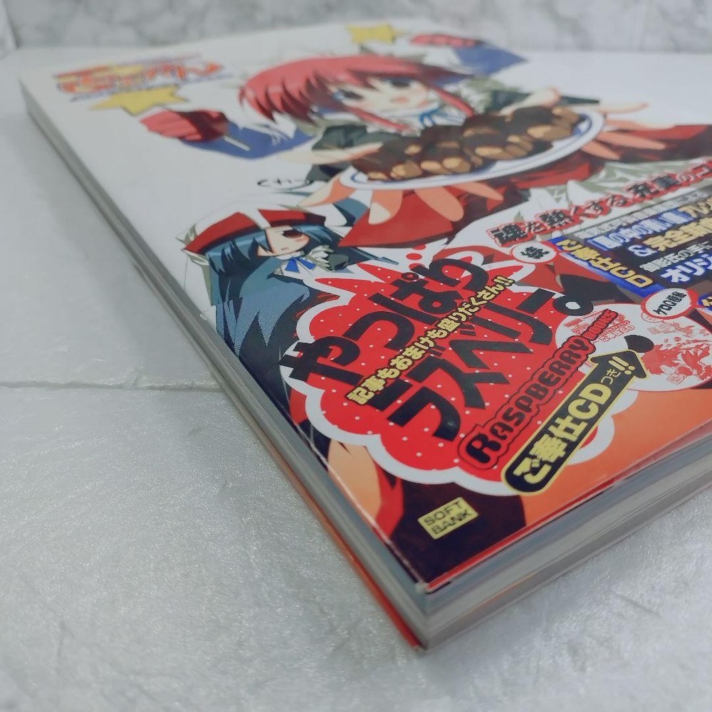 [Good condition] Moekan official visual fan book