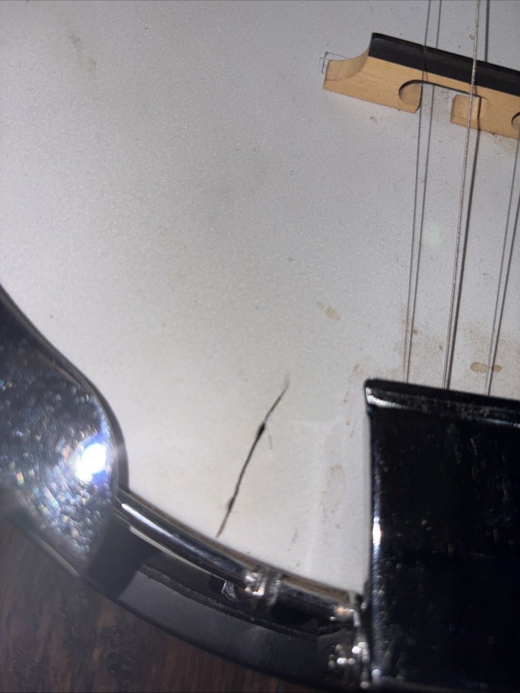 Fender 5 String Banjo & Bag Used