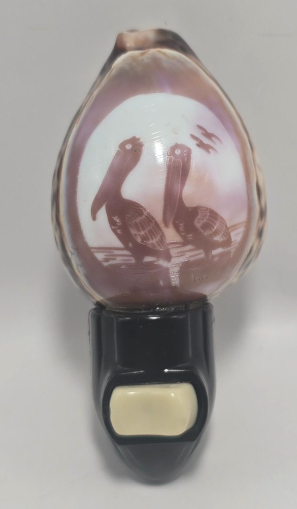 Vintage Etched Cowrie Shell Nightlight Pelicans