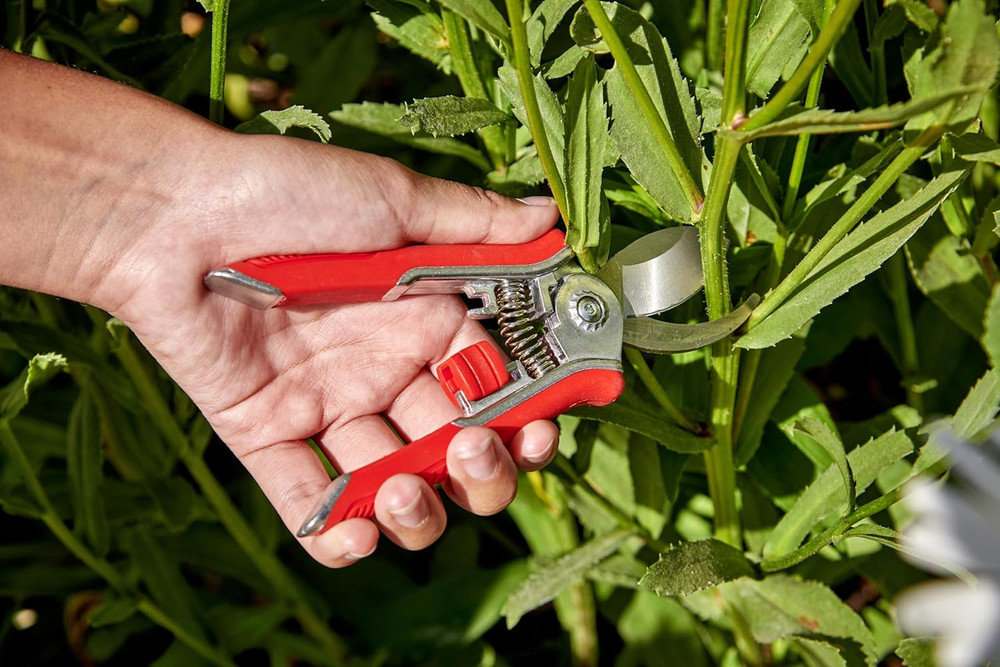 Tools Shrub, Branch & Stem 3 Piece Set