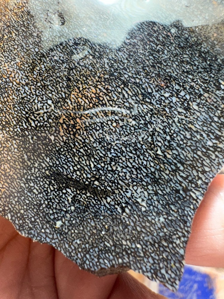 Dinosaur bone rough **hxtled slab.