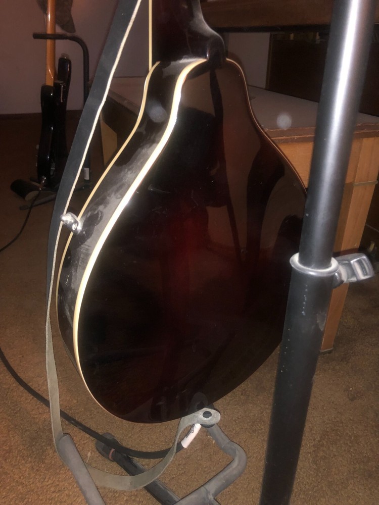 Acoustic Electric Mandolin