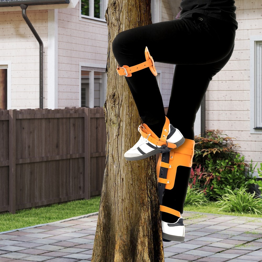 Tree Climbing Spikes Pads Climber Strap Gaffs Adjustable for Climbing Hunting