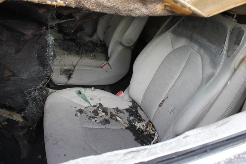 PACIFICA 2018 Camera/Projector 581740