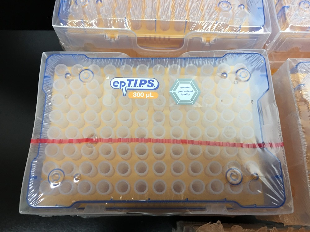 Eppendorf 300uL epTIPS Pipette Tips Lot 6 Racks