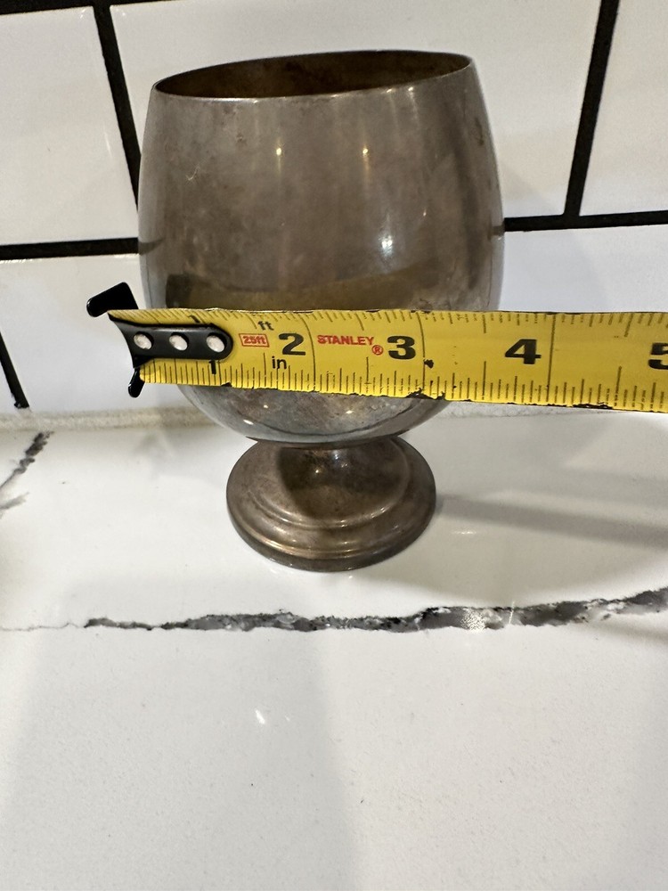 Silver Chalice Goblet