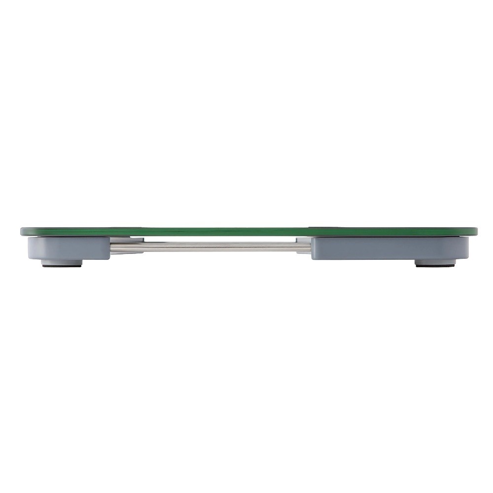 Taylor Body Composition Scale 400 lb Capacity