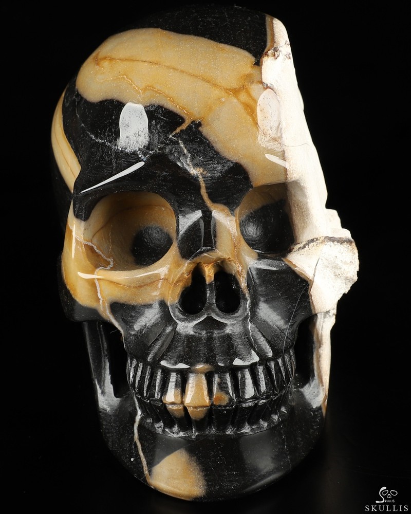 5.0" Black Agate Carved Crystal Skull, Realistic, Crystal Healing