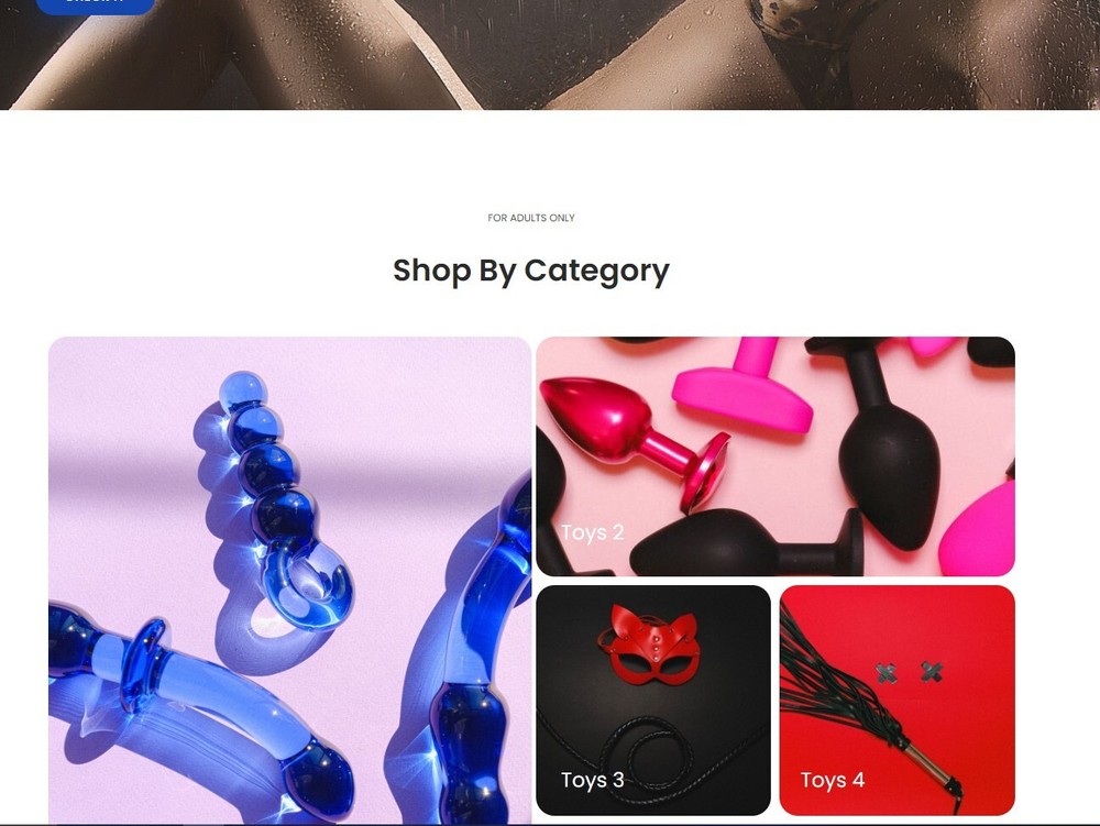 Professional Online Store | Website | WordPress