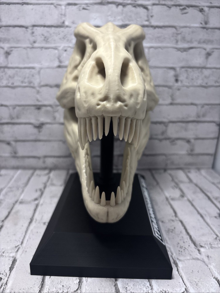 T-Rex 3D printed dinosaur skull large bone colored realistic With Stand Bone PLA