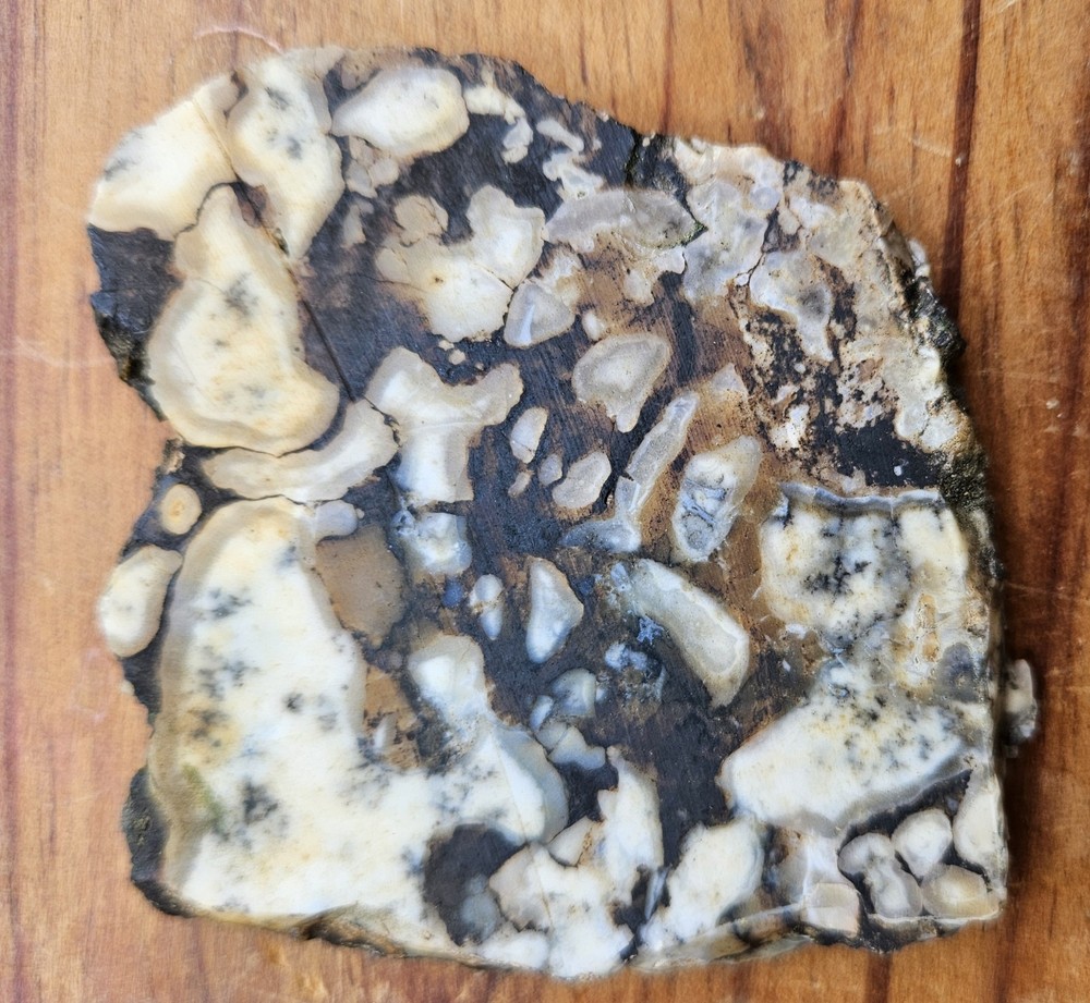 Common Opal With Dendrites Lapidary Slab 64 Grams