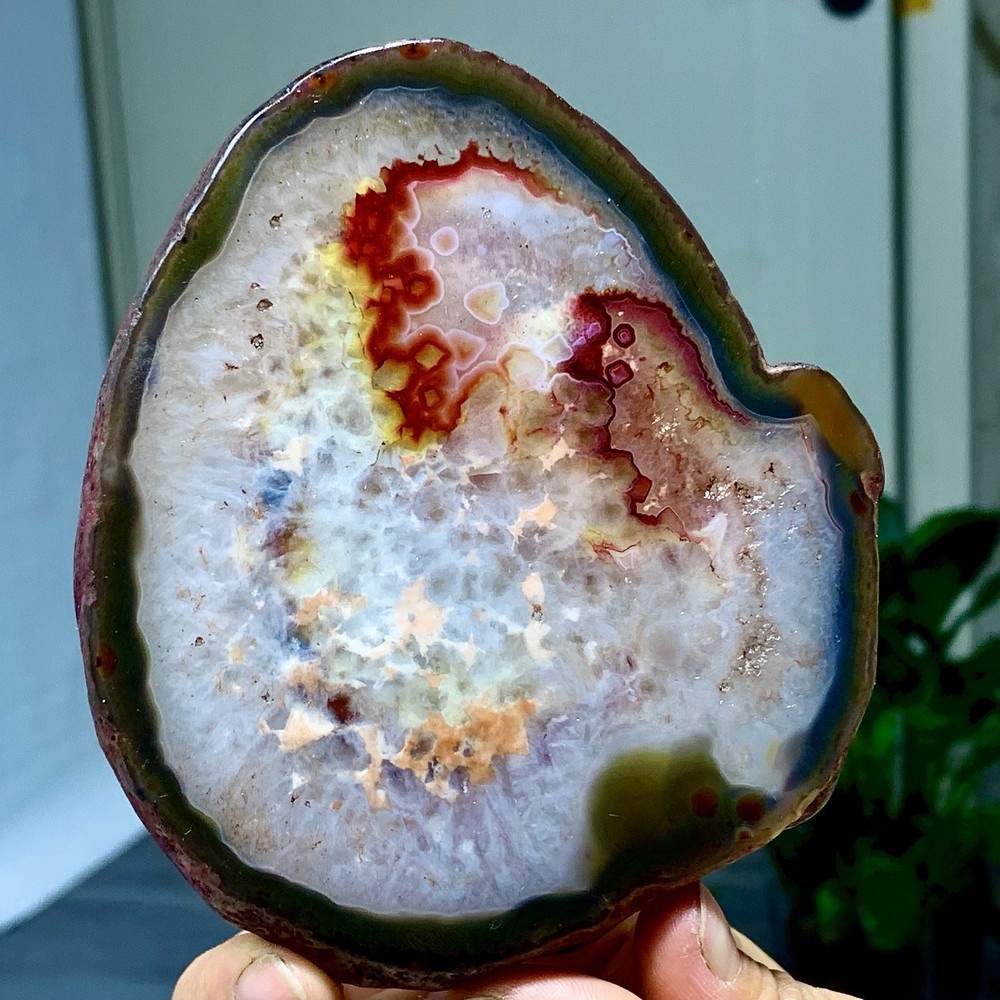 287G Natural Beautiful Agate Geode Druzy Slice Extra Large Gemstone