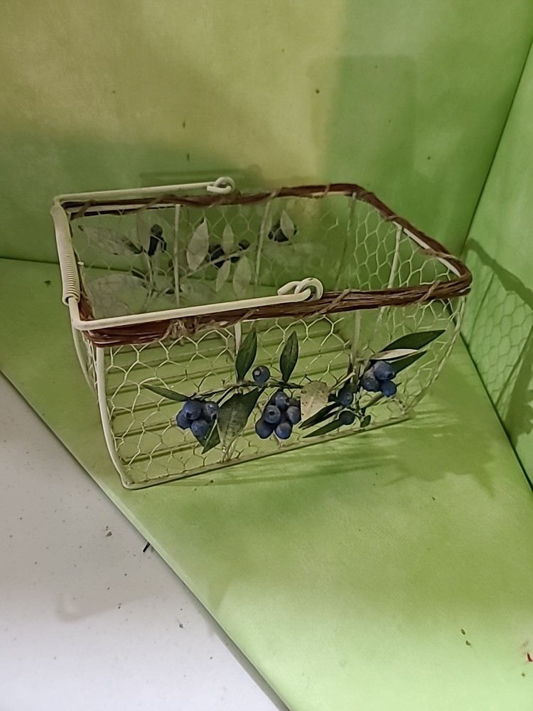 Blueberry Wire Basket