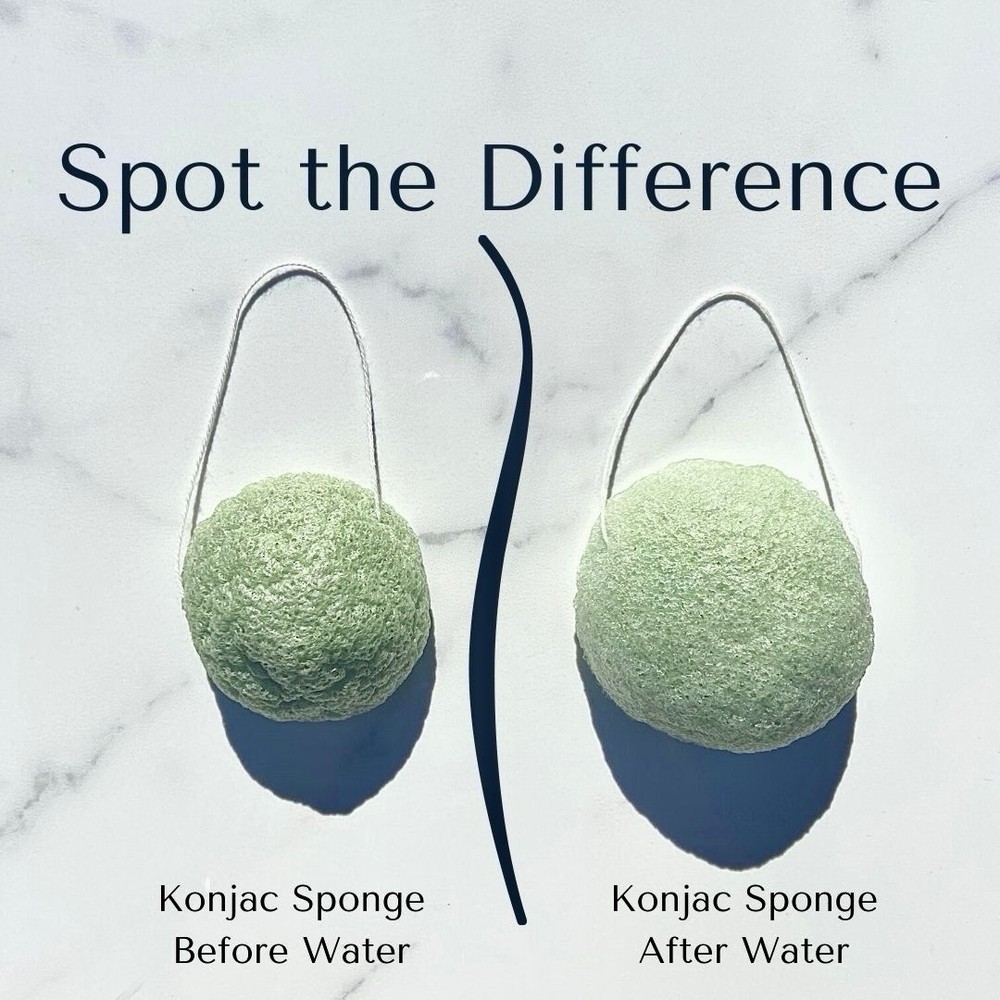 Konjac Face Sponge-Large-White