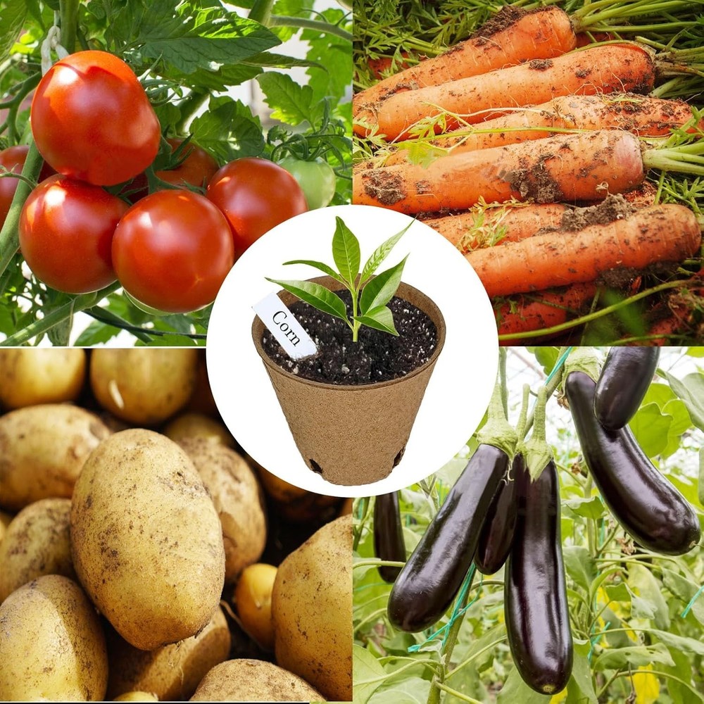 Peat Pots Seed Starter - 45 Pack 3.15 inch Biodegradable Seed Starter Pots Pe...