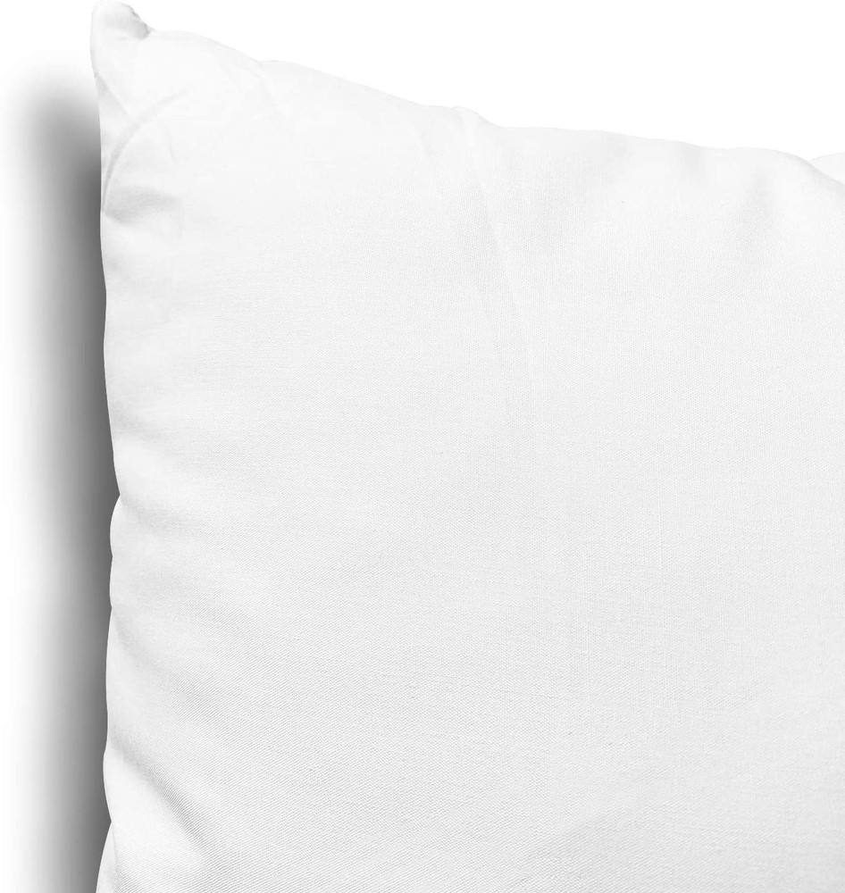 Throw Pillow Inserts, Set of 2 Lightweight Down Alternative Polyester Pillow, Co