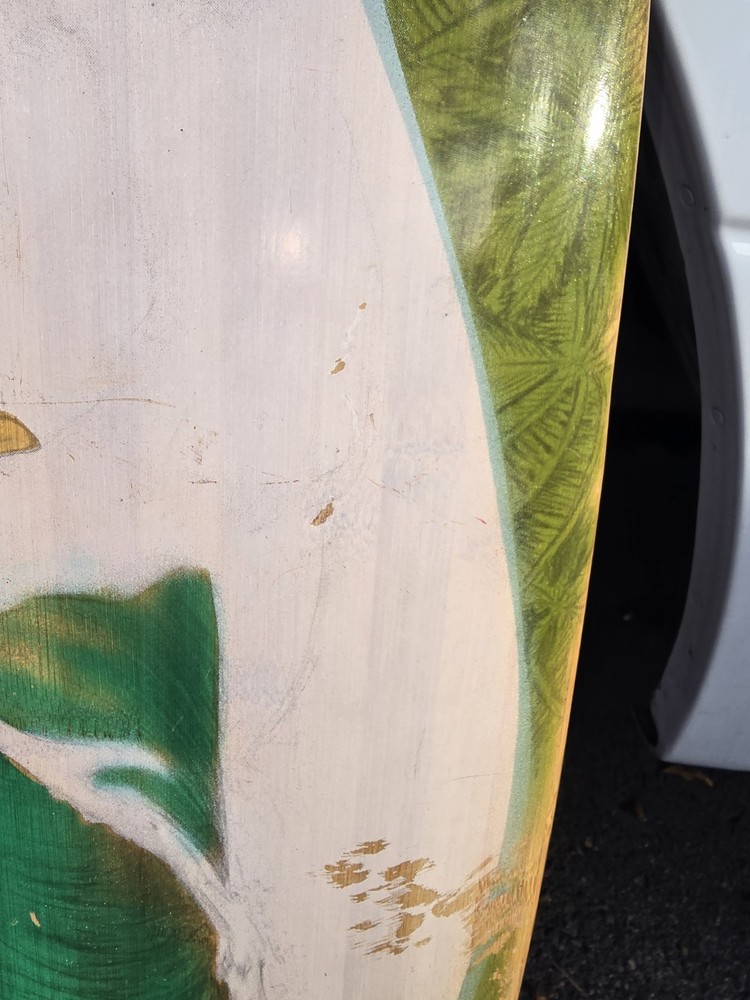 Sector 9 Skateboard Bamboo Deck Long Board