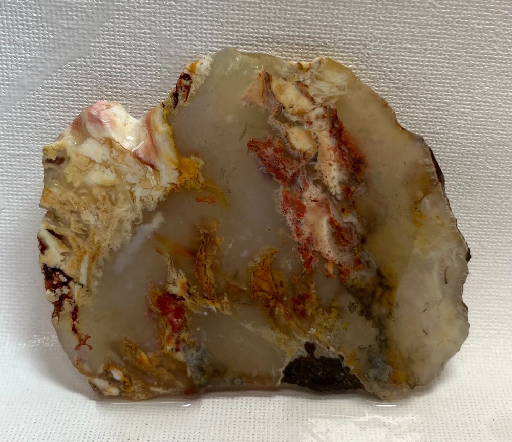 Regency Rose Plume Agate 48gm Lapidary Slab