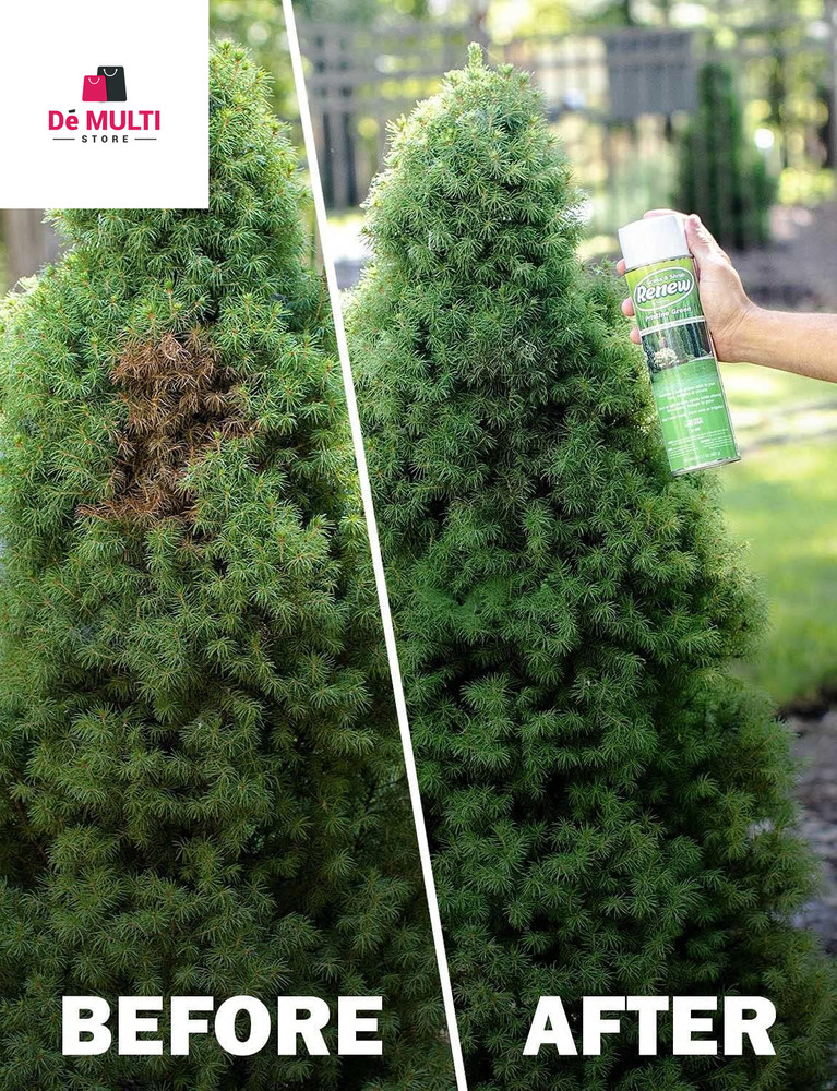 RENEW Grass and Shrub (Pristine). 1 - 17Oz. Can.