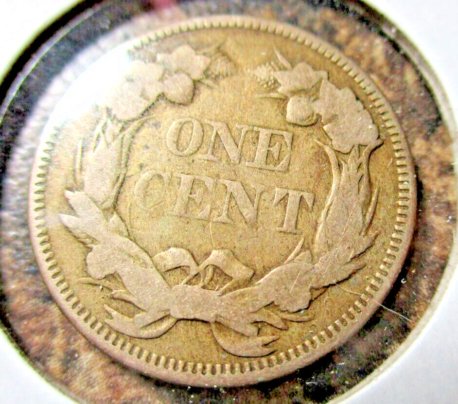 1857 FLYING EAGLE CENT WITH REVERSE DIE CLASH FINE 19