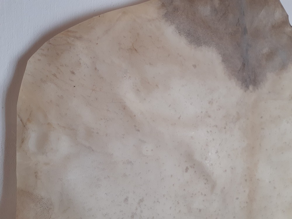 Goat Rawhide Skin. Full Rawhide. Genuine Leather. Goathide.
