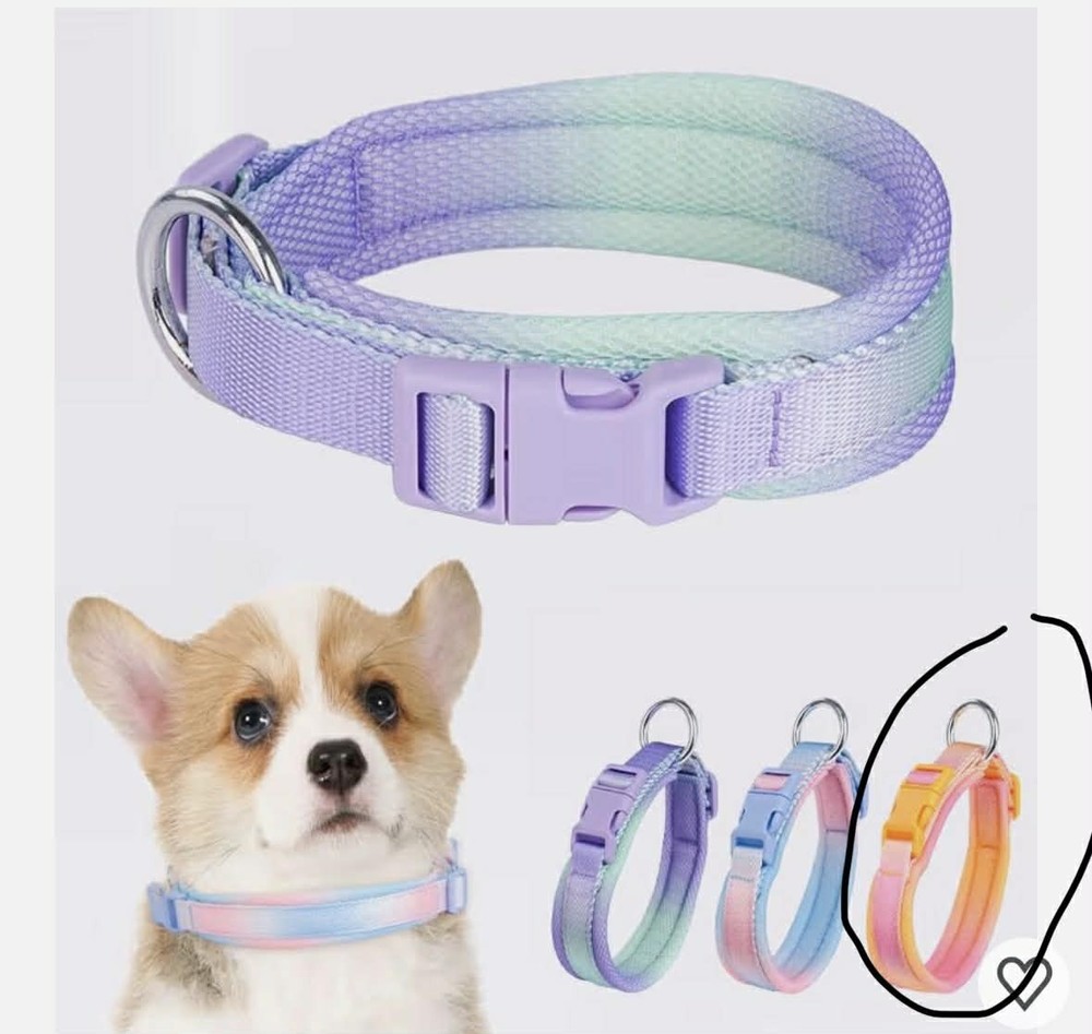 Fashionable Gradient Dog Collar Large