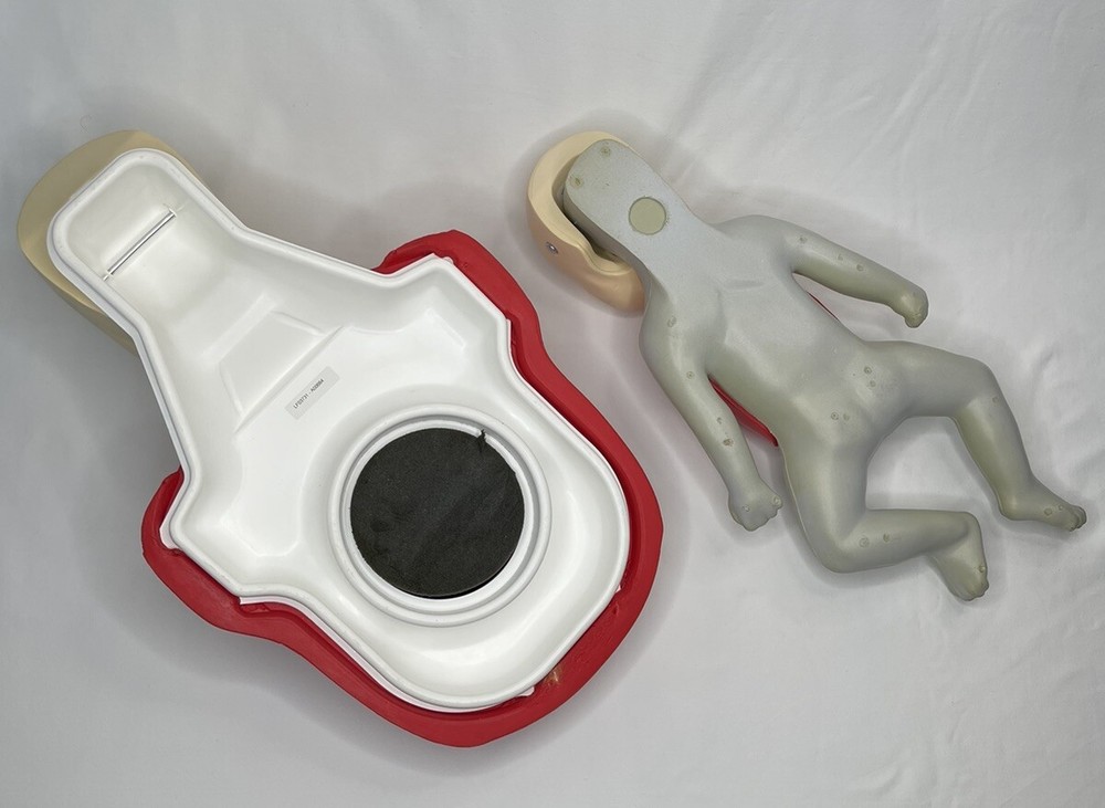 Nasco Life/form Basic Buddy+Baby Training CPR Dolls Dummy Manikin W Introduction