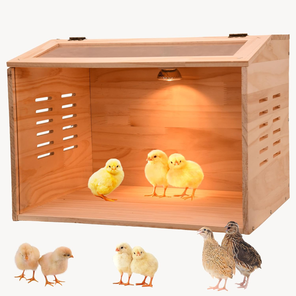 Brooder Box for Chicks, Chicken Brooder Box, Chicken Heater, Poultry Brooder wit