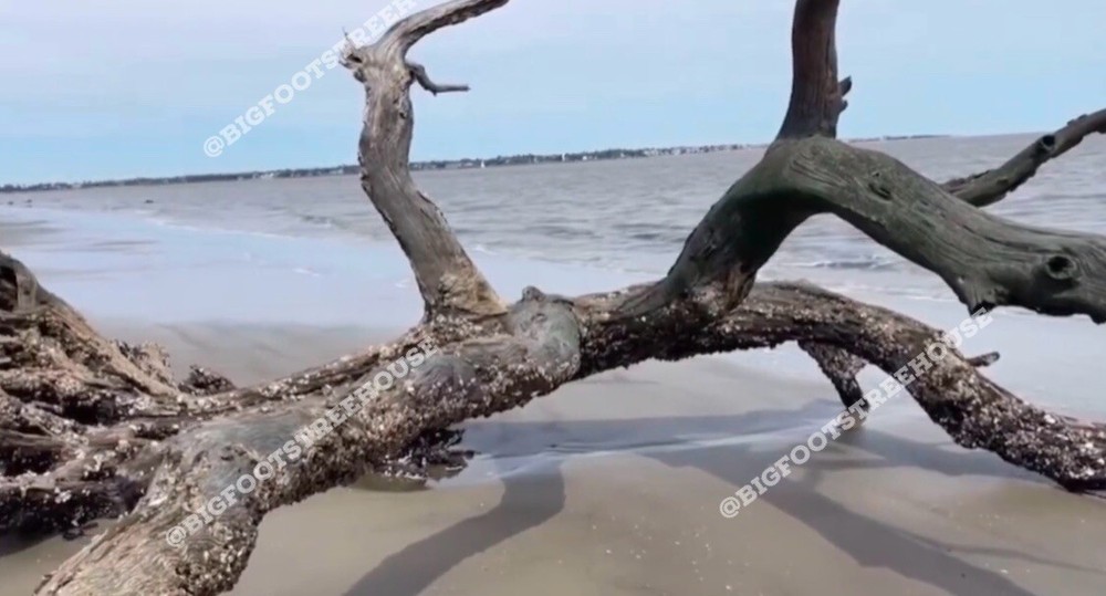 Walking Dead Oceanside Filming Location Sand