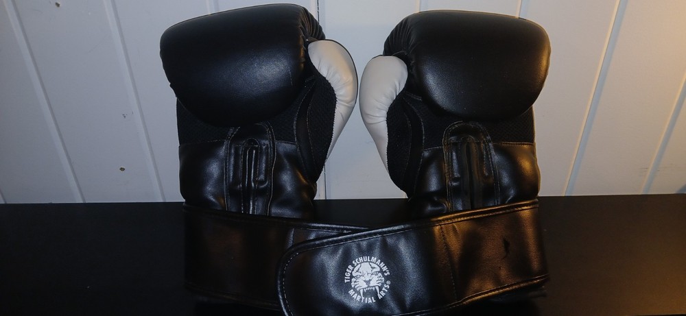 Boxing Gloves 12 oz