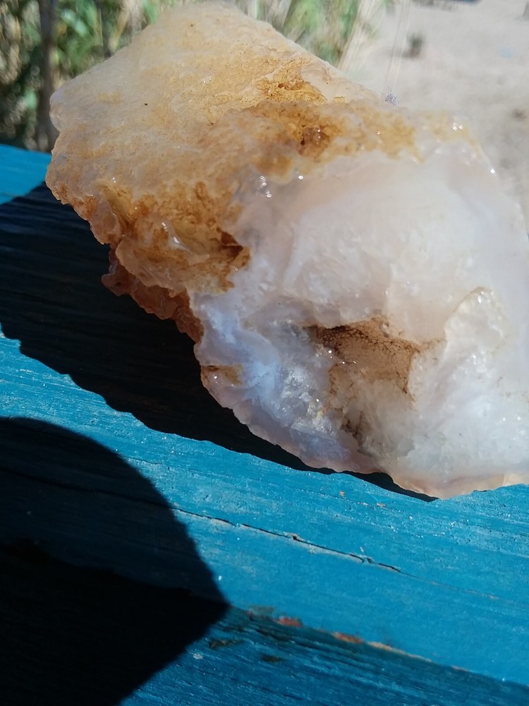 Chalcedony Filling Possible Petrified Would Opalized