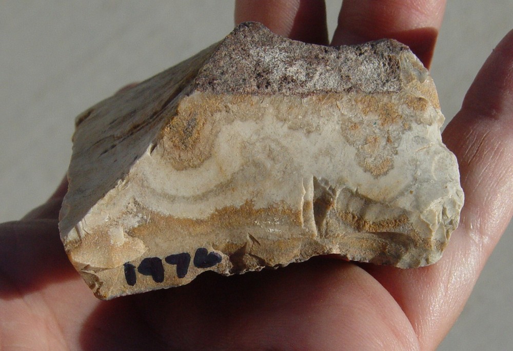 Lace Agate Small Lapidary Rough 1476