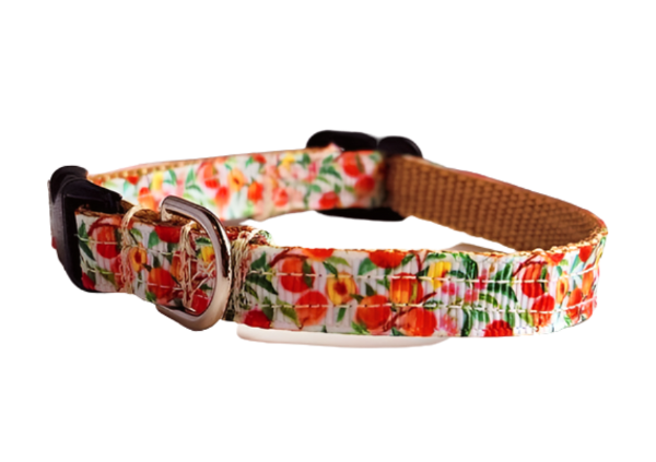 3/8" Peach Dog Collar, Leash, or Harness