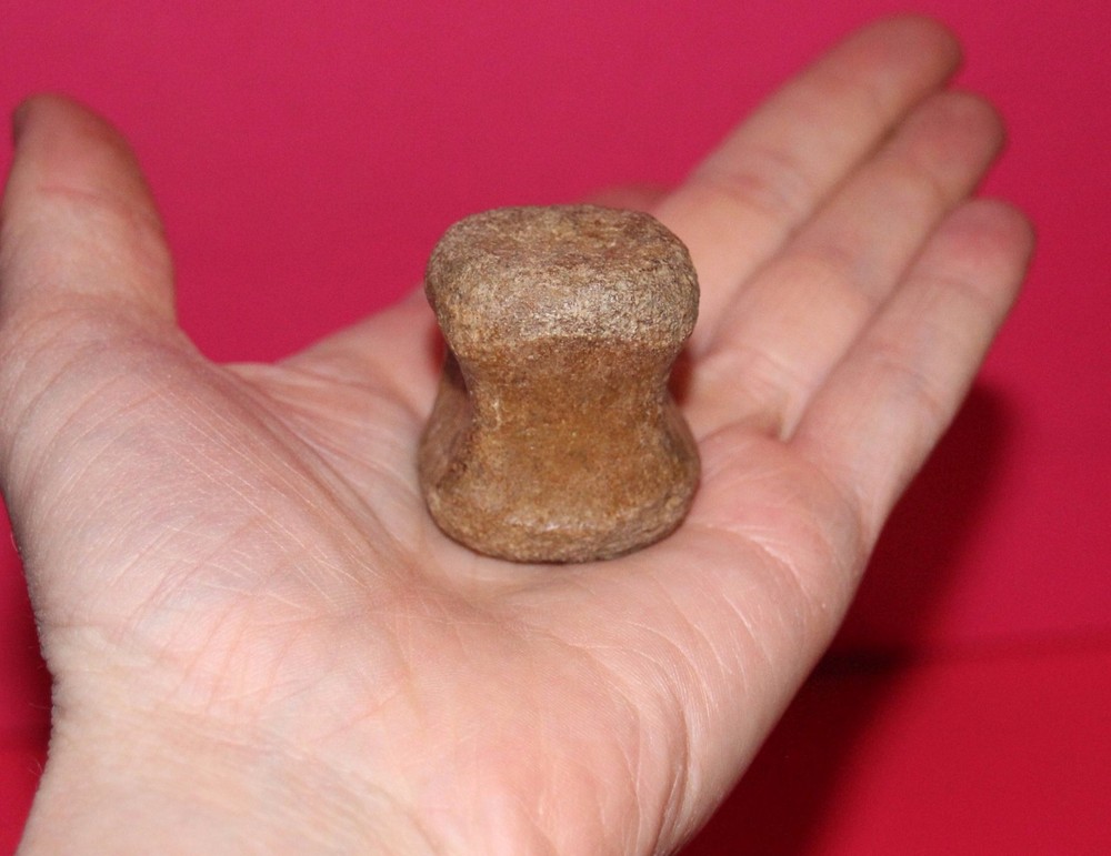Thescelosaurus Vertebra Dinosaur Bone Authentic Hell Creek Formation Cretaceous