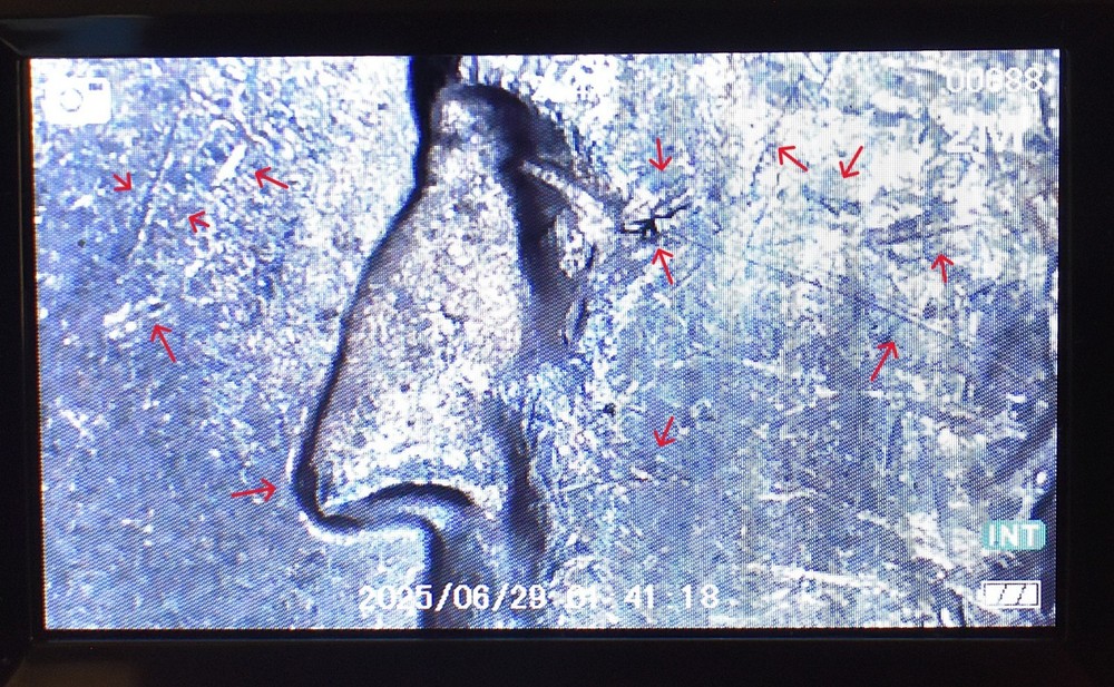 Bicentennial Quarter Error Stike Through with Die Cracks, Chips Closed AM+