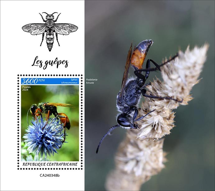 Wasps