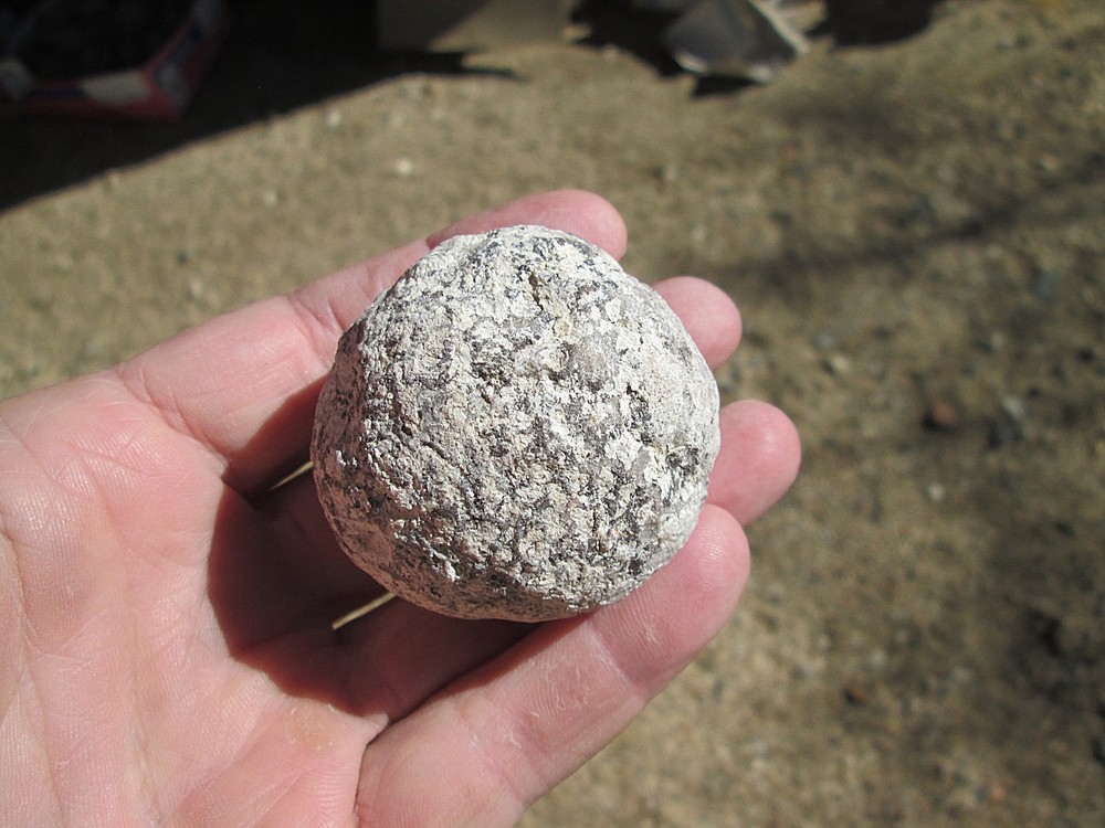 2" ~ 95% HOLLOW COCONUT GEODES ROUGH ~ $10 EACH