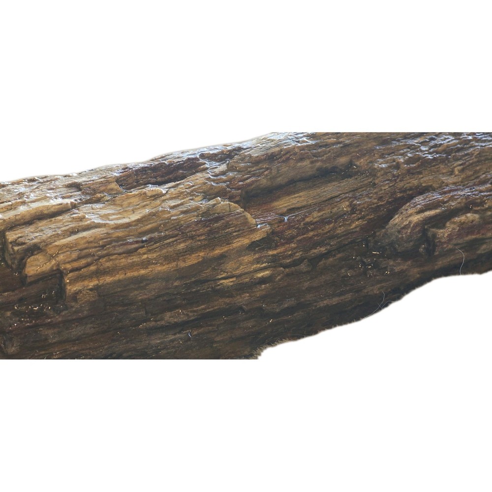 6lb Petrified Wood