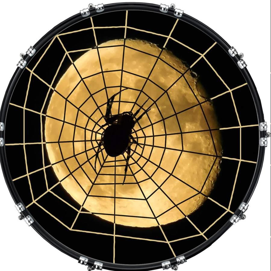 20" Custom Bass Kick Drum Front Head Graphic Graphical Spider Web 21
